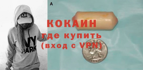 ГАЛЛЮЦИНОГЕННЫЕ ГРИБЫ Аркадак