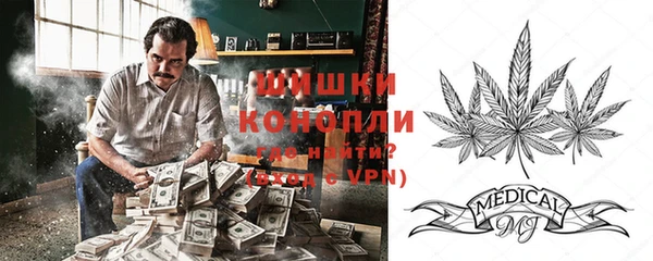 ГАЛЛЮЦИНОГЕННЫЕ ГРИБЫ Аркадак