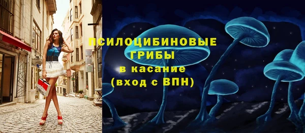 ГАЛЛЮЦИНОГЕННЫЕ ГРИБЫ Аркадак